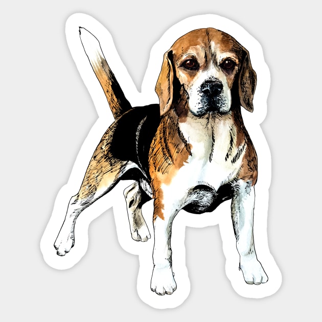 beagle Sticker by VicaVeresk